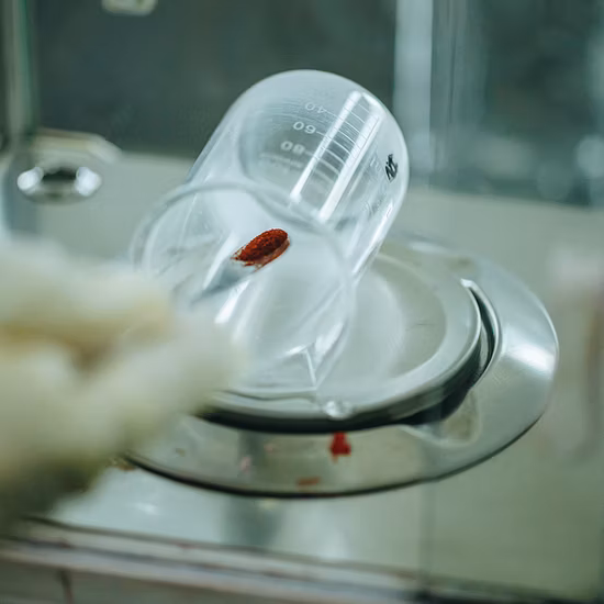 Reactive Dyestuff Dyes Red M